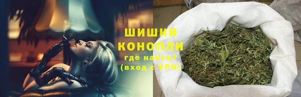 ГАЛЛЮЦИНОГЕННЫЕ ГРИБЫ Горно-Алтайск