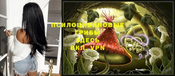 ГАЛЛЮЦИНОГЕННЫЕ ГРИБЫ Горно-Алтайск