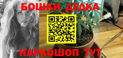 крисы Гагарин