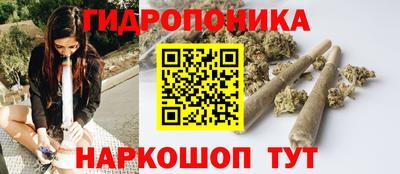 крисы Гагарин