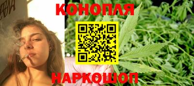 крисы Гагарин