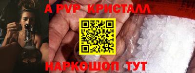 крисы Гагарин