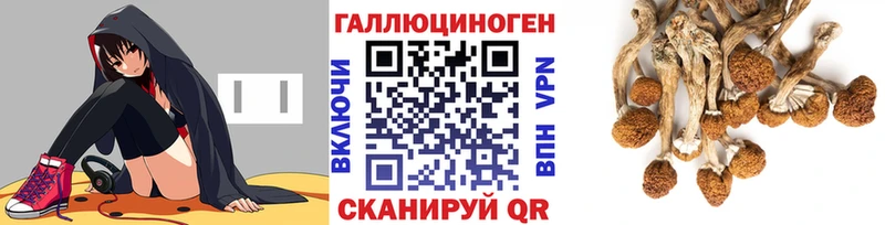 Галлюциногенные грибы GOLDEN TEACHER  площадка телеграм  Дзержинский 